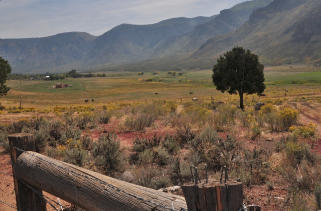 the canyon floor and mountains
